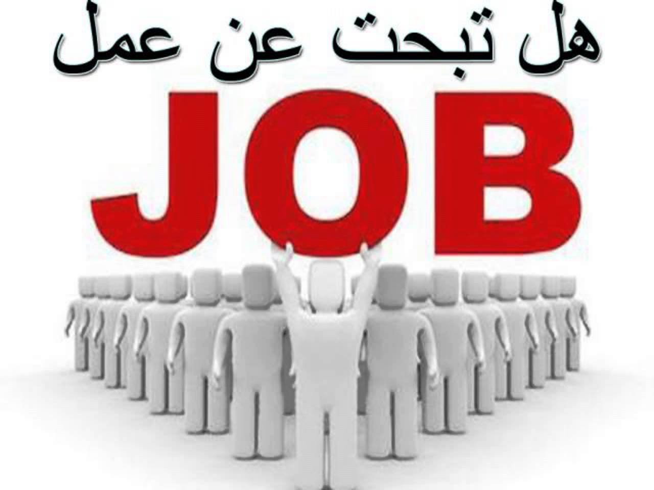 وظايف نت