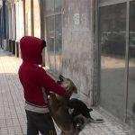 رجاء الجداوي تصاب بصدمة على الهواء