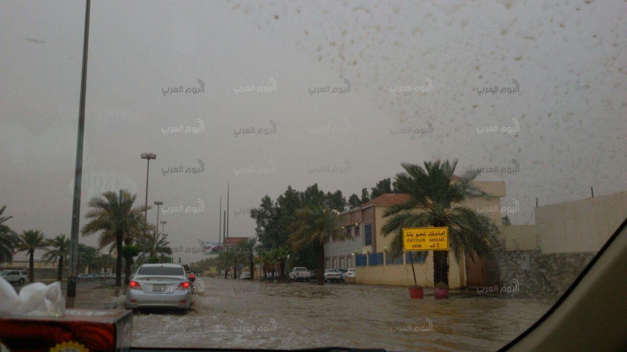 سيول بريدة