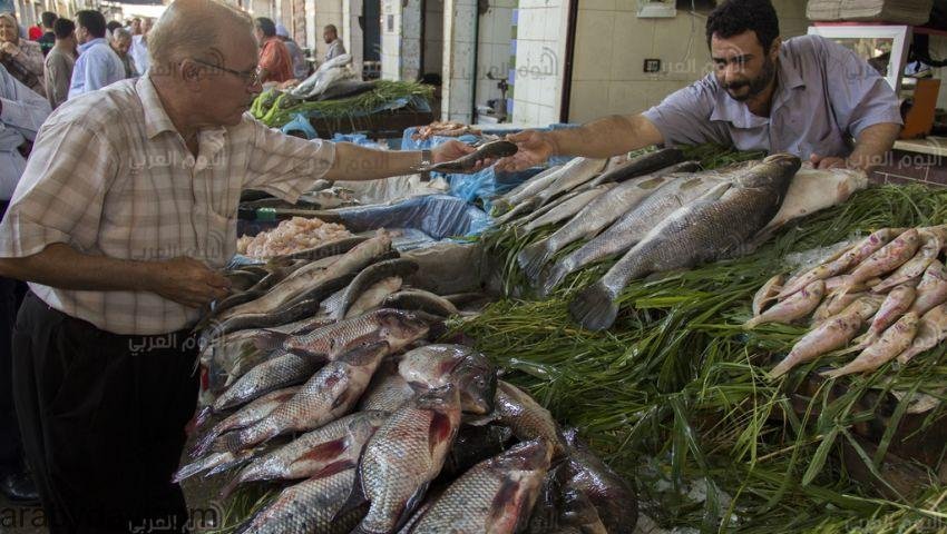 ضخ الأسماك للتموين