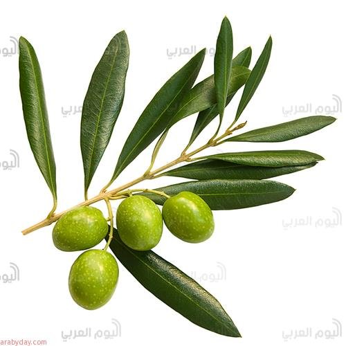 علاج السكر