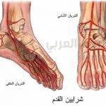 الدول العشرة الأكثر سعادة فى العالم.. بينهما دولة عربية ستفاجئك!