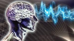 فيسبوك