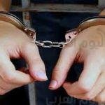 لطيفة تفتح النار على فلة: “اعملى تحليل دم”.. فيديو