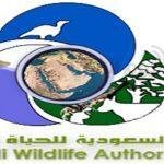 بالصور.. 7 خضروات وفاكهة نأكلها بها سم قاتل