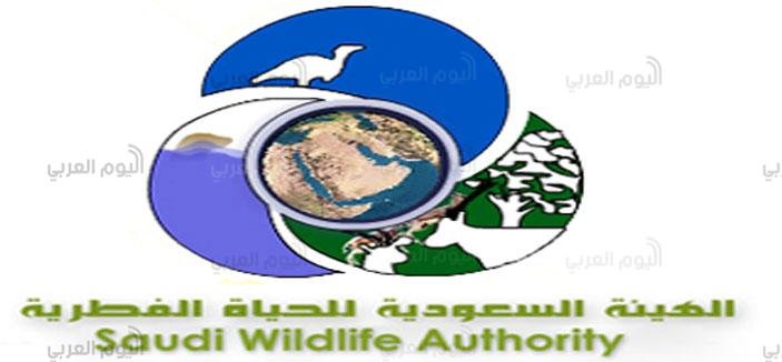 الهيئة السعودية للحياة الفطرية