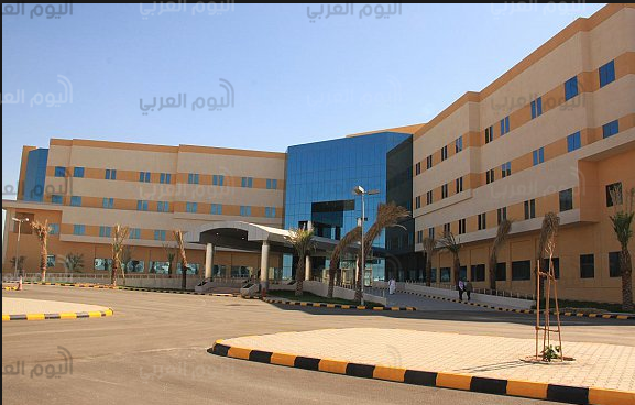 الامير محمد بن عبد العزيز