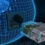هايدي موسى تفوز بجائزة الميما وهكذا احتفلت.. صور وفيديو
