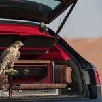 أمريكا…اعتقال إمرأة تعمل لصالح الصين