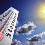 تعرف على مقهى السعادة الأول من نوعه في هذه الدولة.. صور
