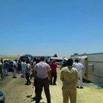 افتتاح أكبر مزرعة سمكية بالشرق الأوسط في كفر الشيخ
