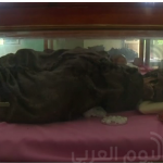 قصة “الواد ده بتاعي” من انتهاك البراءة إلى ندم الأم.. فيديو وصور