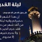 شاهد مباراة مصر وتونس تسجل حضور 29 ناديًا