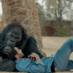 شاهد مسلسل كلبش الحلقة السابعة.. يقتل القتيل ويمشي في جنازته