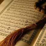 أبطال مسلسل لأعلى سعر يتفوقون.. والجمهور يتضامن مع نيللي كريم ويغضب من زينة