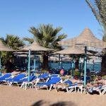 تعرف على حظك اليوم 14-7-2017…برج العذراء: لا تجعل مشكلاتك في العمل تؤثر على صحتك