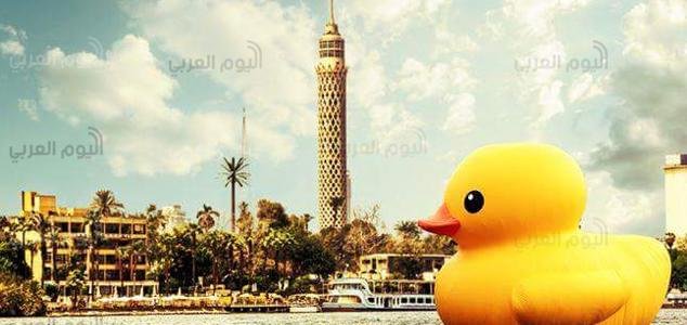 بطة عملاقة