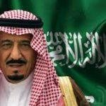 شاهد.. كارثة جديدة تضرب شواطئ الأسكندرية وظهور قنديل البحر الأزرق
