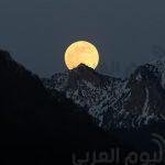 الأمن يوافق على حضور 20 ألف مشجع لمباراة الأهلي والترجي بدوري الأبطال