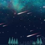 هل تصنع هذه الفنانة منحوتات من لحوم البشر؟