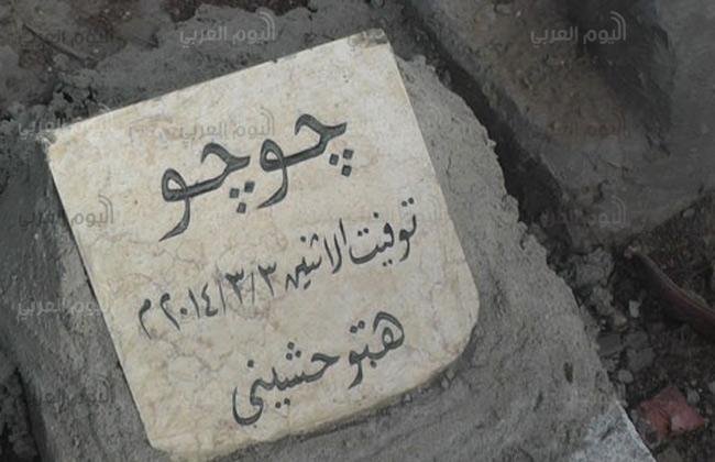 مقابر للقطط والكلاب