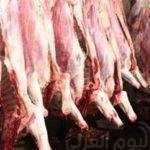 موعد مباراة مصر وأوغندا بتصفيات كأس العالم .. والقنوات الناقلة لها