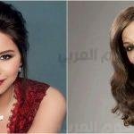 صور صادمة.. جمال تخترق سيارات مسافرين على طريق سريع بالسعودية