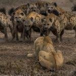 طرد حارس مرمى من مباراة فريقه بسبب قيامه بتصرف غير لائق