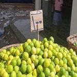 عزت أبو عوف في حالة صحية حرجة.. وشقيقته: ادعوله